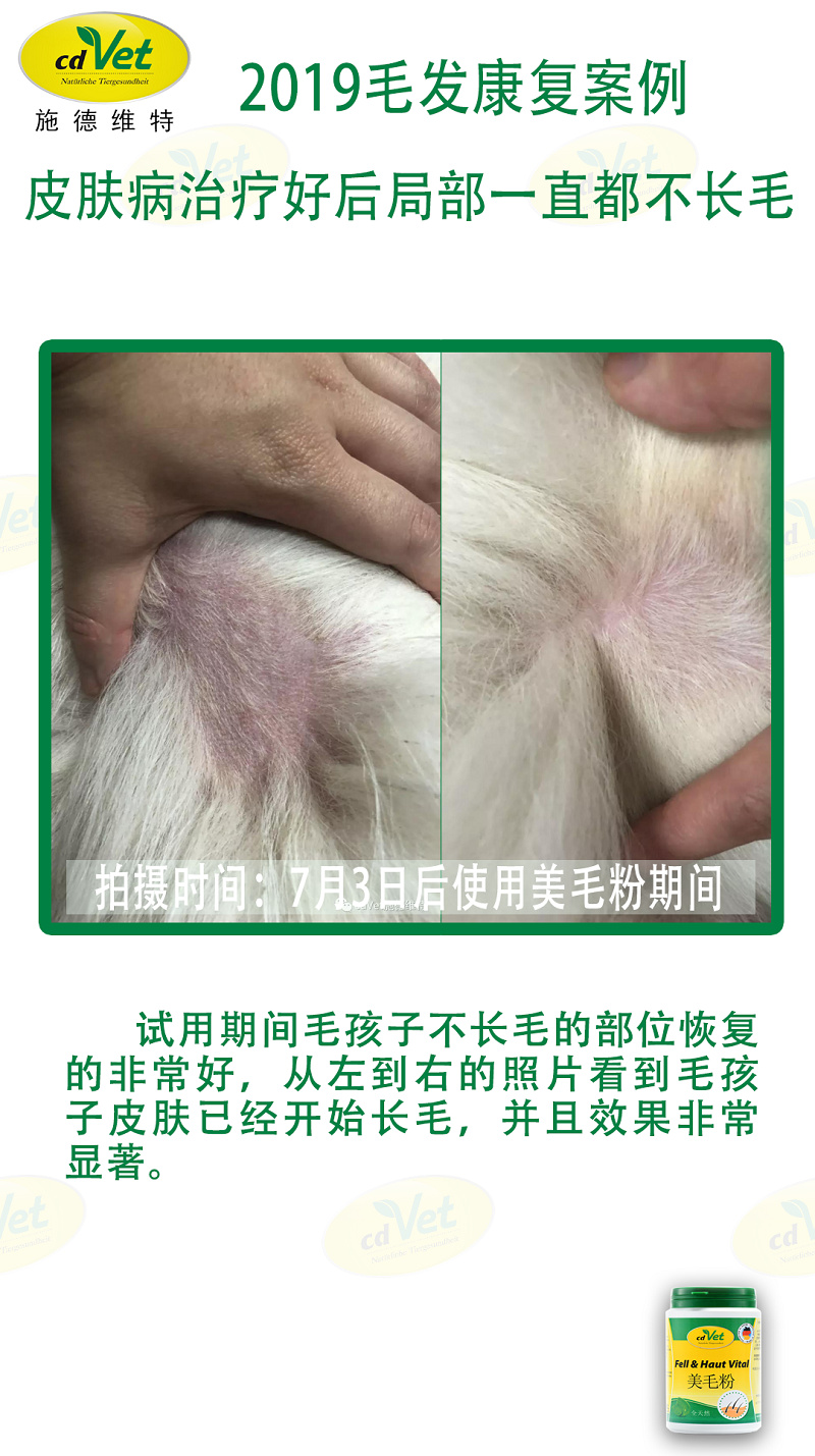 毛發(fā)案例 2.png