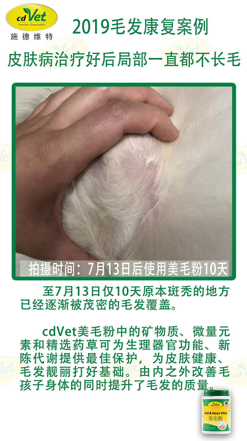 毛發(fā)案例 3.png