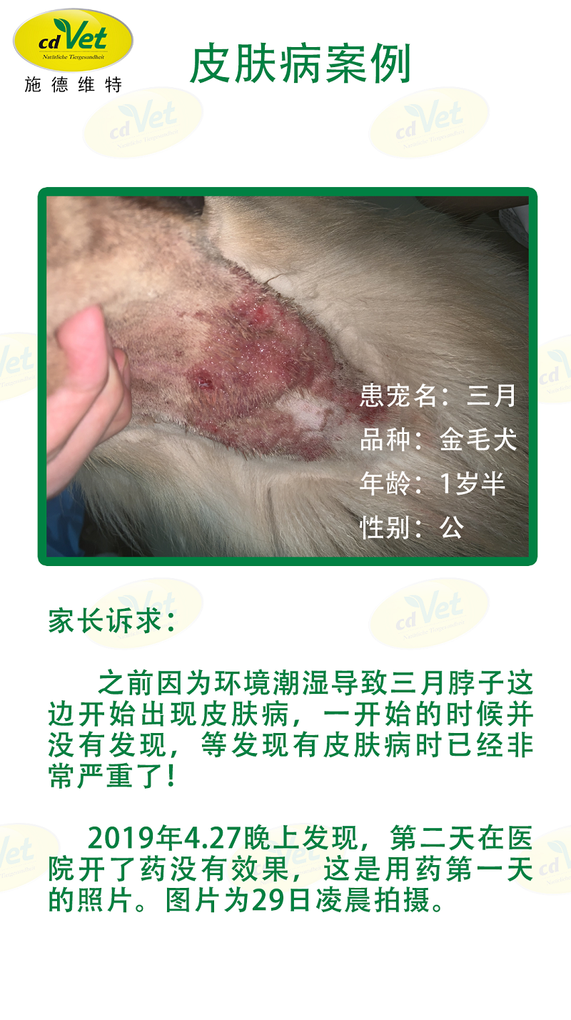 皮膚病 案例1.png