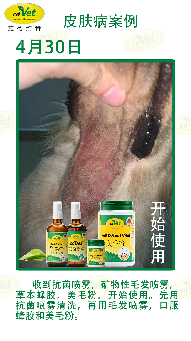 皮膚病 案例2.png
