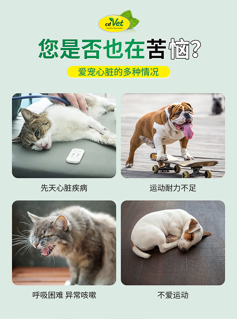 心臟活力粉_02.jpg