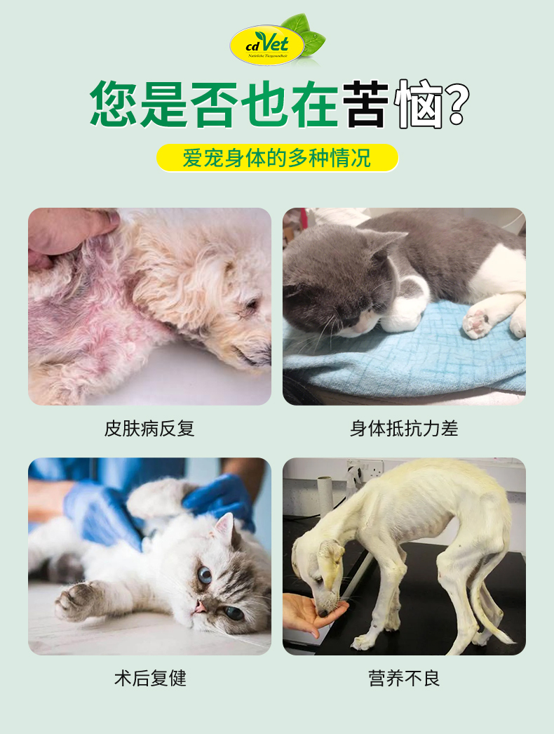 草本蜂膠1_03.jpg