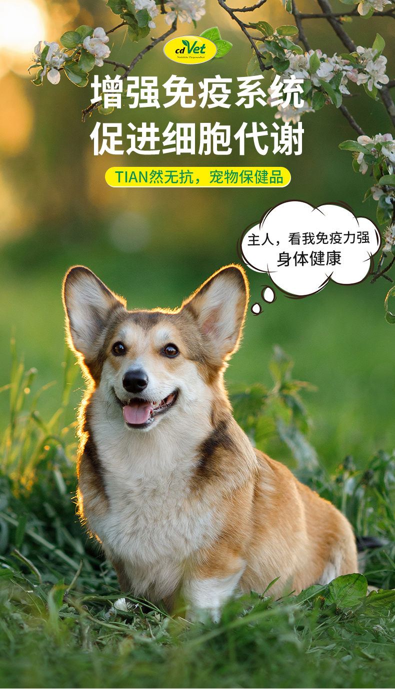 強(qiáng)基營(yíng)養(yǎng)粉_03.jpg