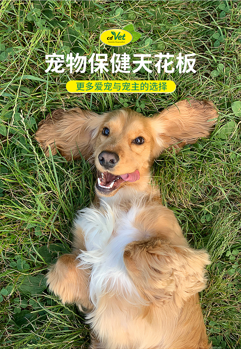 高齡犬營養(yǎng)粉_06.jpg