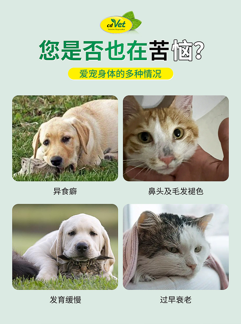 礦物質(zhì)營養(yǎng)粉_03.jpg