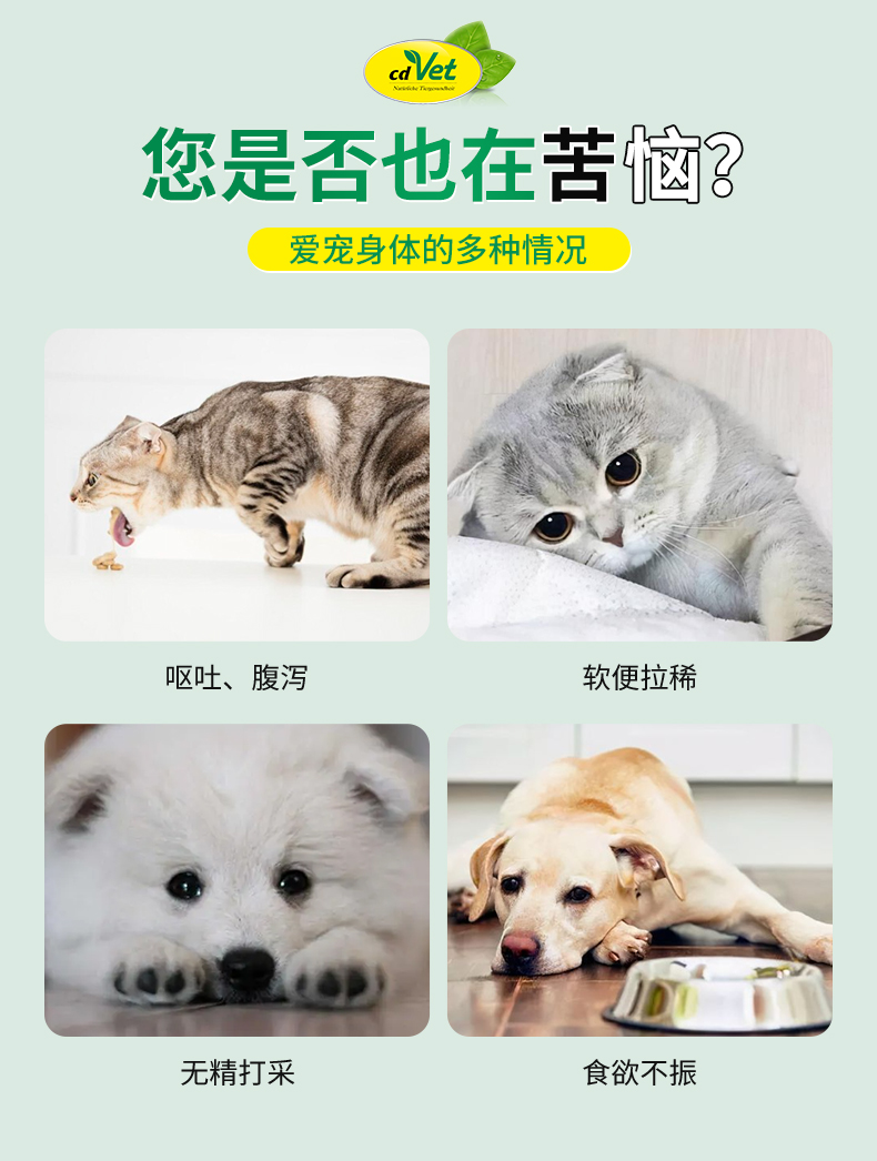 腸道止瀉粉_03.jpg