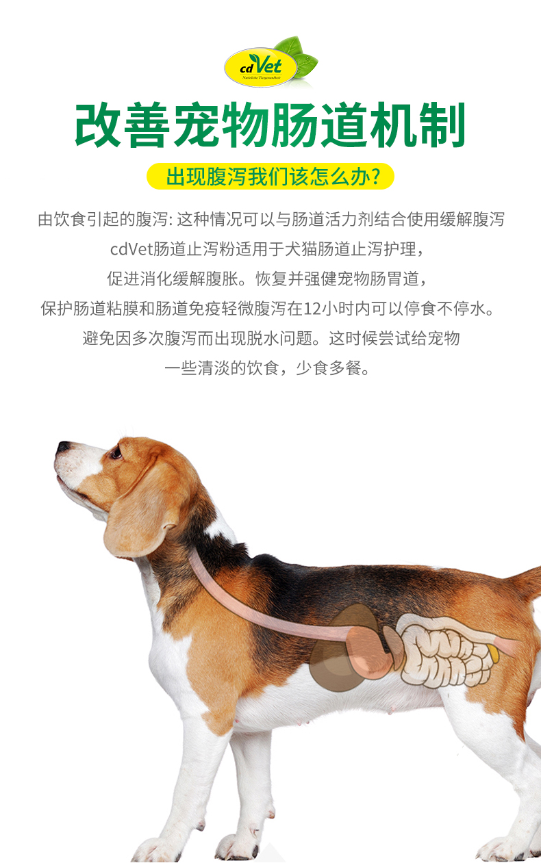腸道止瀉粉_05.jpg