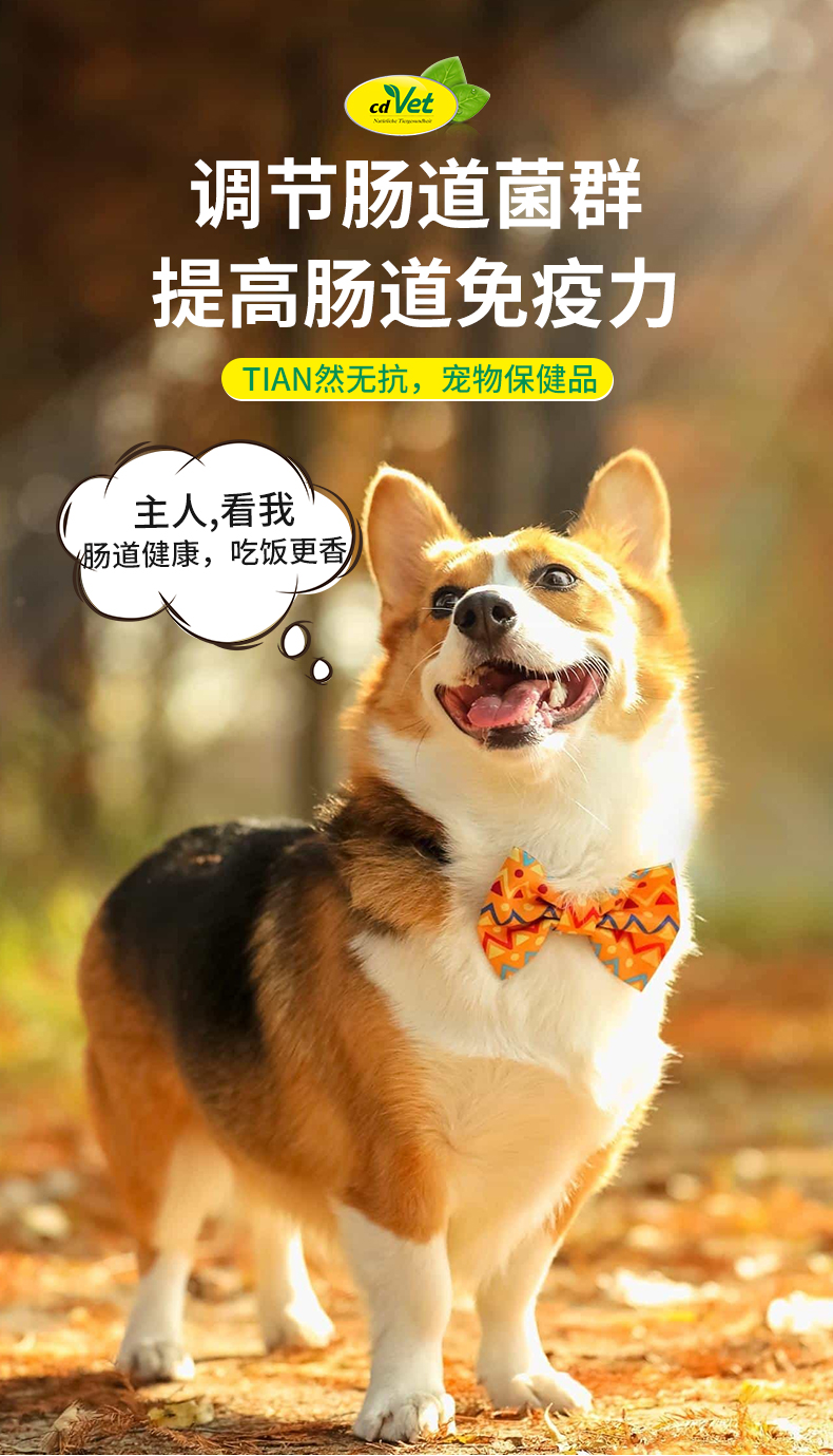 腸道活力劑1_03.jpg